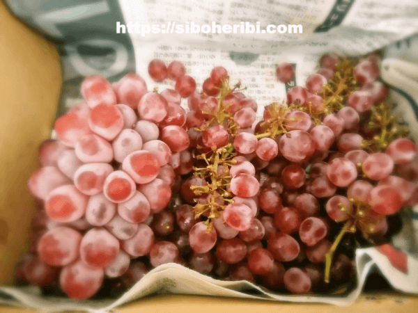 大地を守る会：ぶどう