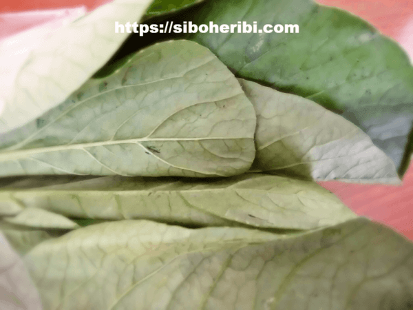 大地を守る会：小松菜の葉部分