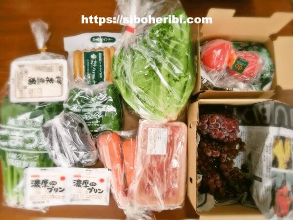 大地を守る会：お試しセット